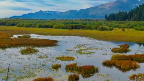 Alaskan fall Foto stock