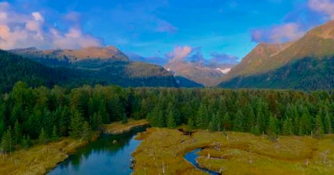 Alaskan fall Stock Photos