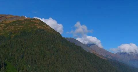 Alaskan fall Stock Photos