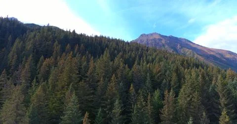 Alaskan fall Stock Photos