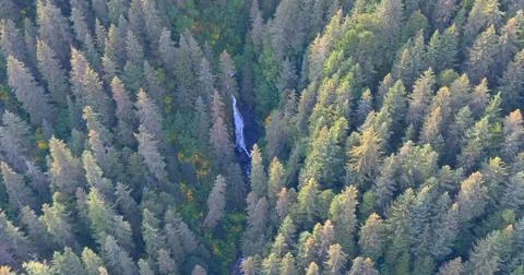 Alaskan fall Stock Photos