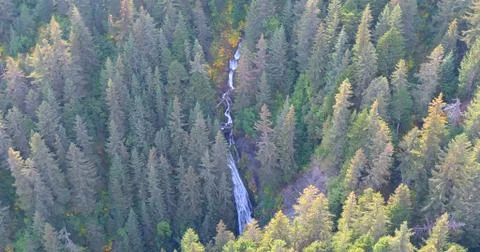 Alaskan fall Stock Photos