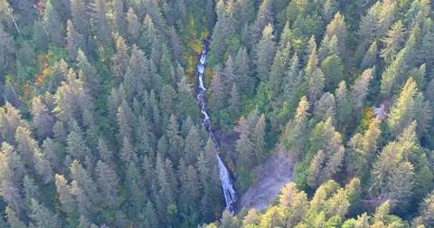 Alaskan fall Stock Photos