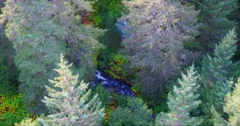 Alaskan fall Stock Photos