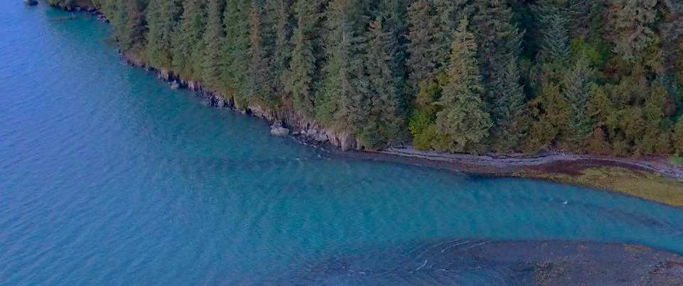 Alaskan fall Stock Photos