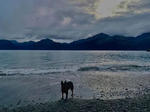 Alaskan fall Foto stock