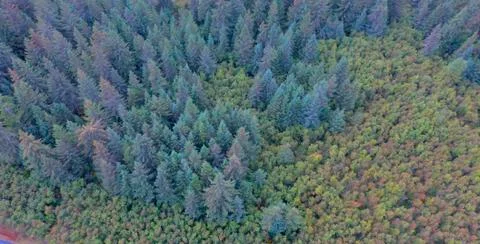 Alaskan fall Foto stock