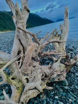 Alaskan fall Stock Photos