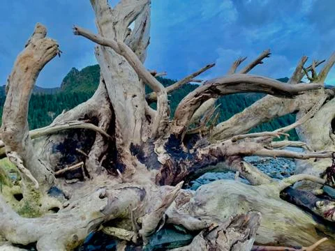 Alaskan fall Stock Photos