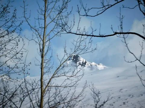 Alaskan fall Stock Photos