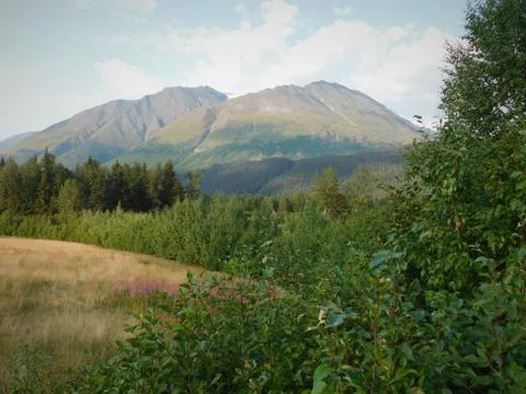 Alaskan fall Stock Photos