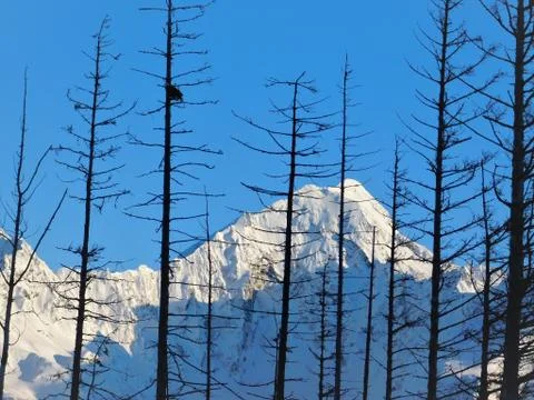 Alaskan fall Stock Photos