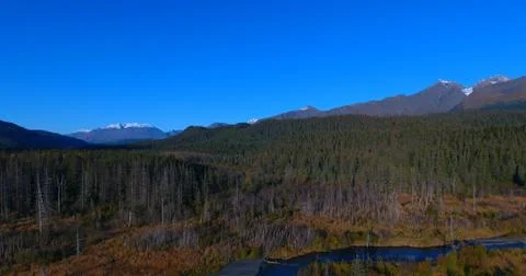 Alaskan fall Stock Photos