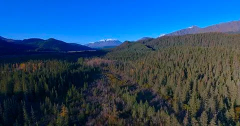 Alaskan fall Stock Photos