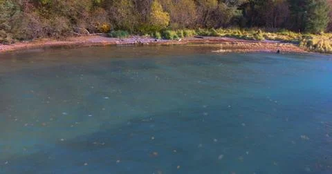 Alaskan fall Stock Photos