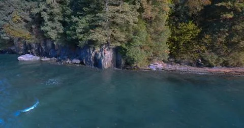 Alaskan fall Stock Photos