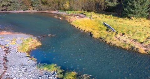 Alaskan fall Stock Photos