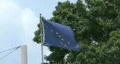 Alaskan Flag HD Footage