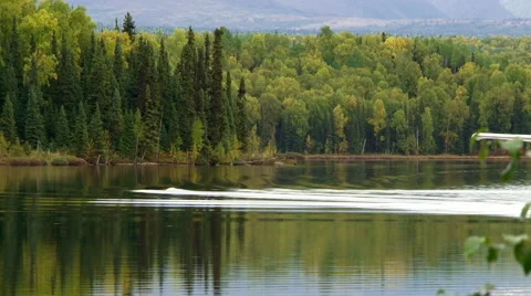 Alaskan float plane taxing to dock Stock Footage 40296700