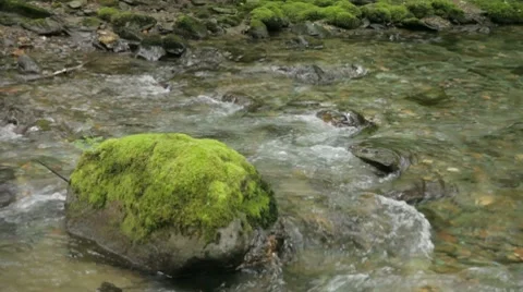 Alaskan Forest River 3 Stock Footage 8570334