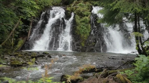 Alaskan Forest Waterfall Video stock 8570265
