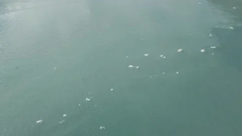 Alaskan Glacier #3 Stock Footage 219660501