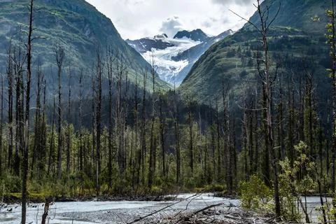 Alaskan Glacier Stock Photos