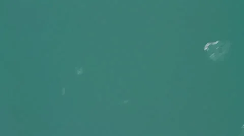 Alaskan ice again Stock Footage 8577998