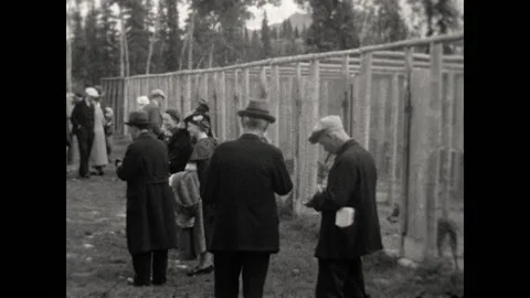 Alaskan Kennel 1937 Stock Footage 201556216