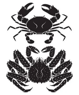 Alaskan king crab. Vector Illustrations. Stock Illustration