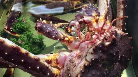 Alaskan King Crabs Video stock 84296565
