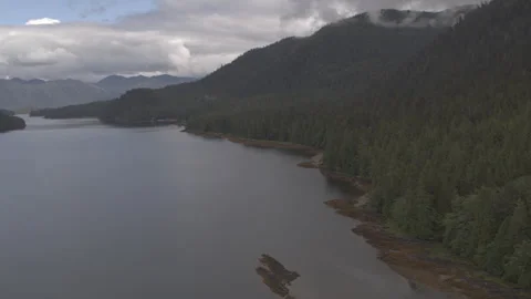 Alaskan Lake with Pine Tree Islands and Tree covered Mountains Coast Stock Footage 255318780