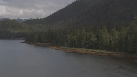 Alaskan Lakeside Pine Trees with Mountains in Distance drone Stock Footage 255317893
