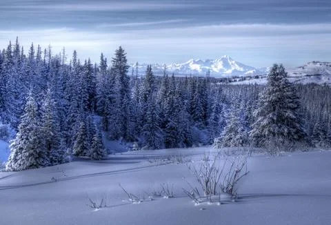 Alaskan landscape in winter Stock Photos
