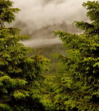 Alaskan mountains 스톡 사진