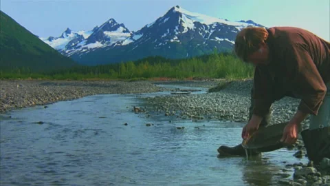 An Alaskan old timer pans for gold in glacier fed river. Stock Footage 158887093