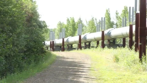 Alaskan Pipeline (HD) c Stock Footage 8509909