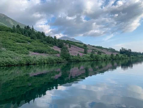 Alaskan reflection Stock Photos