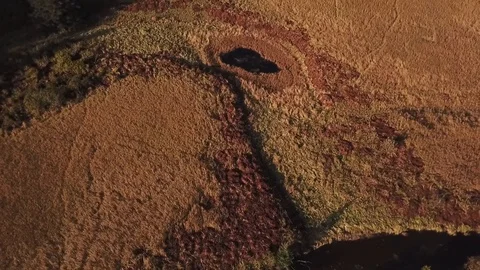 Alaskan scene Stock Footage 121134202