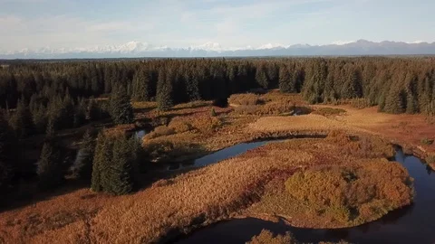 Alaskan scene Stock Footage 121134273