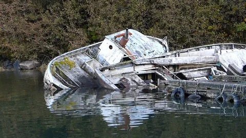 Alaskan scene Stock Footage 121134481