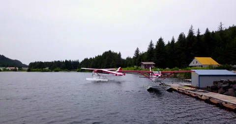 Alaskan Seaplane Vídeos de archivo 138115310