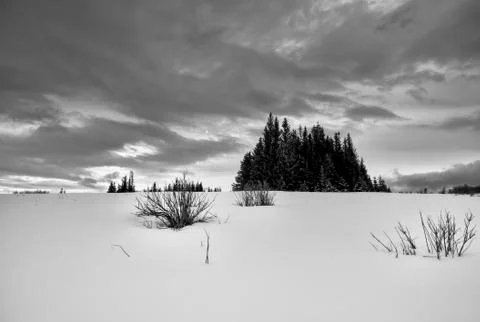 Alaskan snowscape Foto stock
