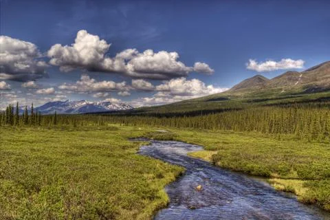 Alaskan summer Stock Photos
