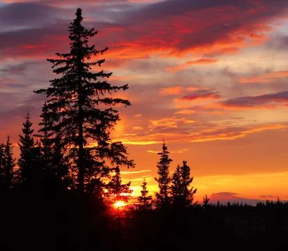 Alaskan sunset Stock Photos