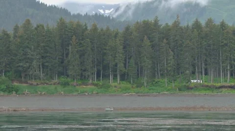 Alaskan Tract House Stock Footage 8511600