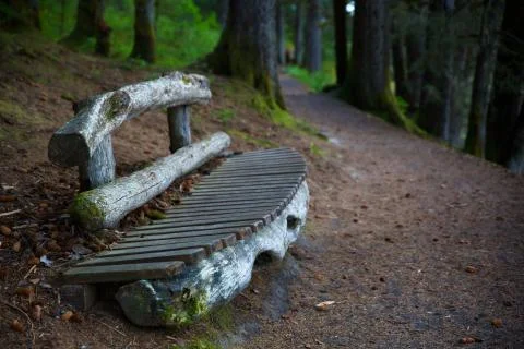 Alaskan trail bench Stock Photos