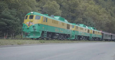Alaskan Train Stock Footage 197379191