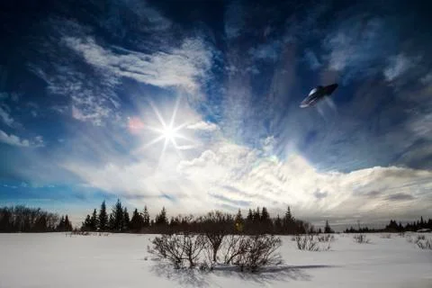 Alaskan ufo Stock Illustration