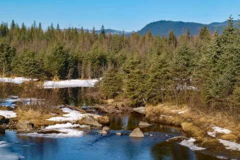 Alaskan Wilderness Stock Photos